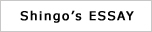 Essay